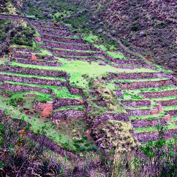 hummingbird terraces hiking tour