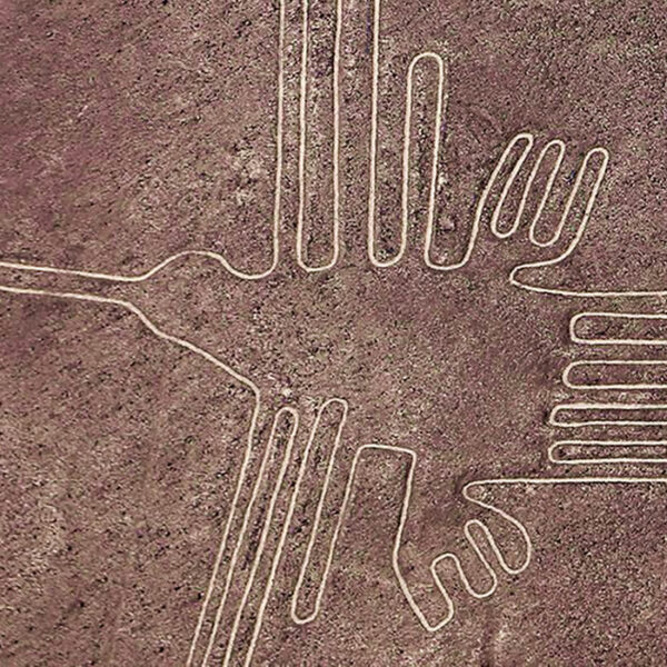 nazca lines peru hummingbird