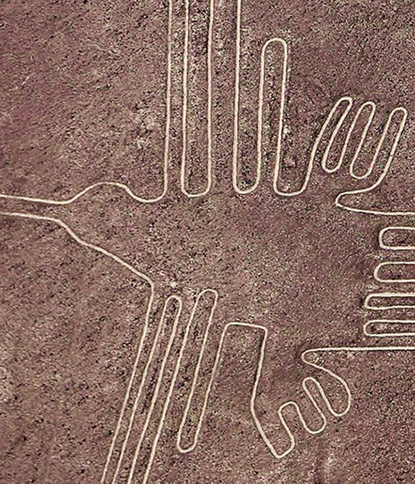 nazca lines peru hummingbird