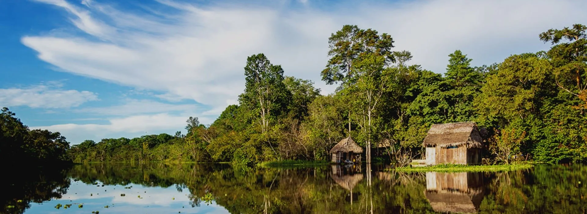 amazonia jungle peru